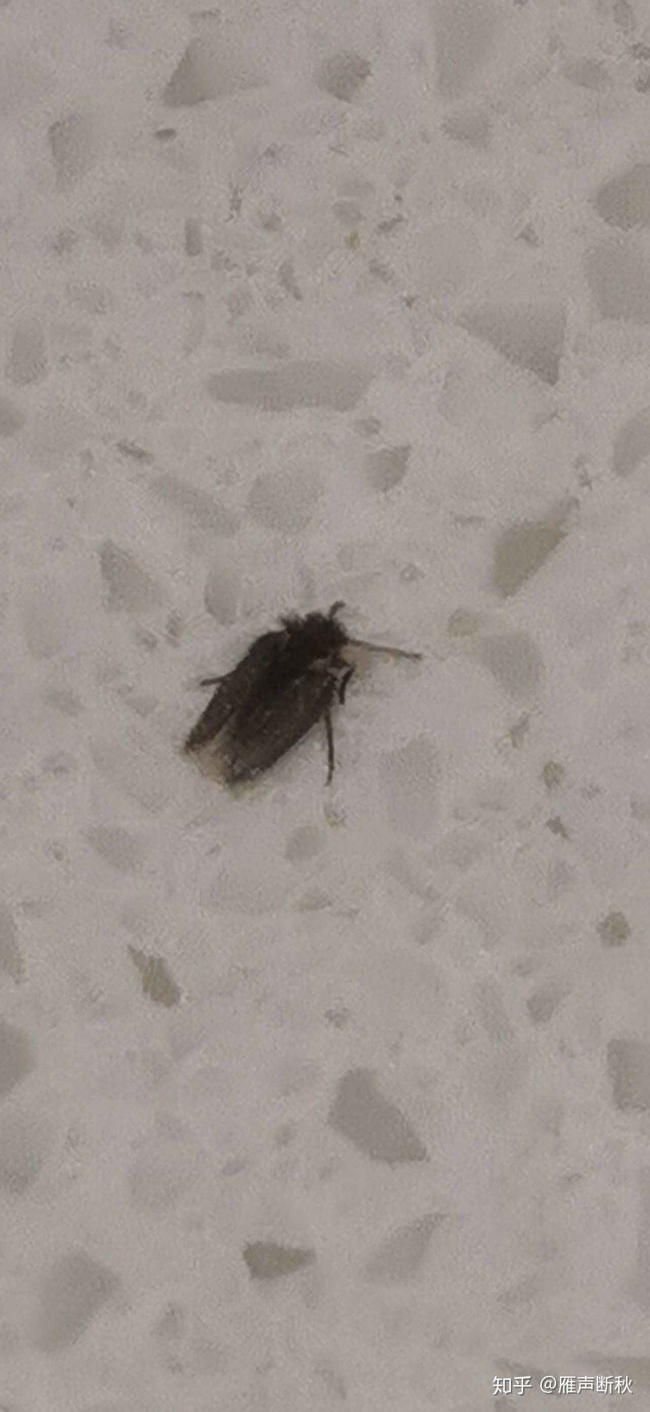 娱乐生活 第56页