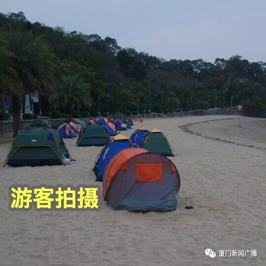 游戏专题 第51页